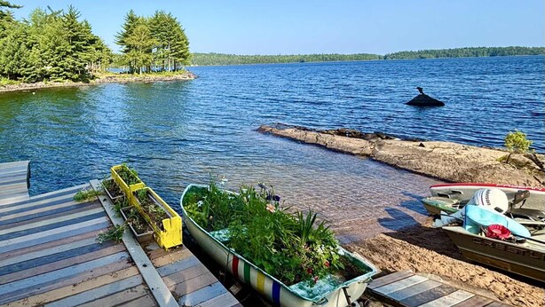 A dock with boats, a clear blue lake, and a forested island.