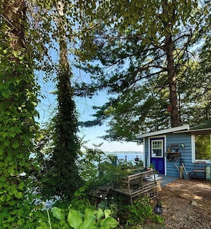 A cabin with a view of the water, surrounded by dense foliage.