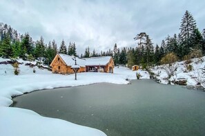 A wooden cabin with a snow-covered roof, surrounded by a frozen lake and dense forest. - Wildalpen Chalet (quiet location & wellness) (Liezen)