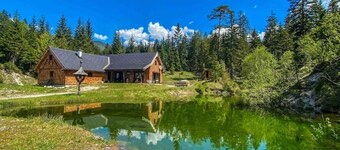 Chalet Wildalpen (in a quiet location & with wellness)