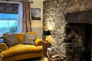 Smart TV, chimenea, libros y biblioteca musical 