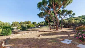 A landscaped garden with trees, stone pathways, and a clear sky. - Gîte Aja Puzzuta - Sea View (Coti-Chiavari)