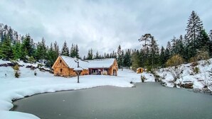 A wooden cabin with a snow-covered roof, surrounded by a frozen lake and dense forest.