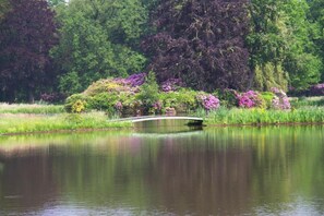 A calm lake with a bridge, surrounded by lush greenery and flowering plants. - B&B Kasteel Den Tip (Arendonk)