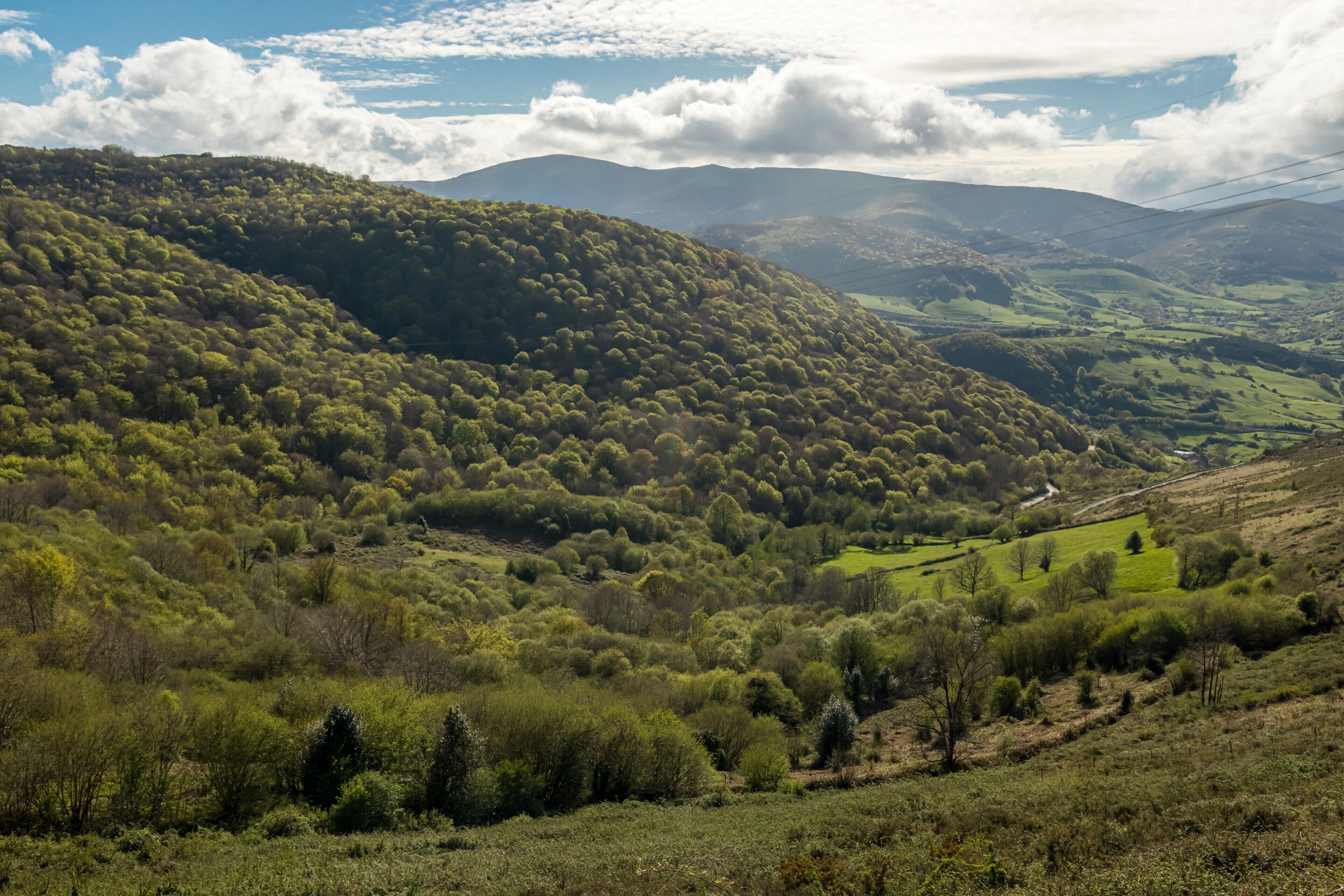 Eine gebirgige Landschaft mit dichtem Grün und einem Tal.