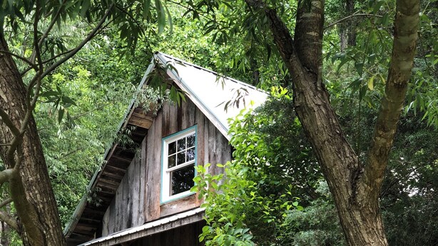 A rustic wooden cabin with a porch, surrounded by dense foliage. - Oasis in the Blue Ridge Rt. 151 Brew Ridge Trail-Cozy Cottage in the mountains (Afton)
