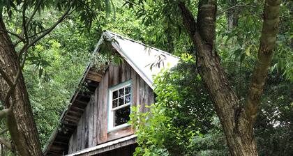 Oasis in the Blue Ridge Rt. 151 Brew Ridge Trail-Cozy Cottage in the mountains
