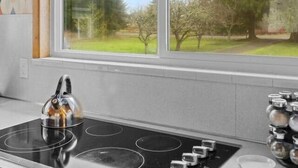 A kitchen with a gas stove, a kettle, and a window with a view of trees. - Black Diamond | Mid-Century Modern Hot Tub Retreat (Clallam County)