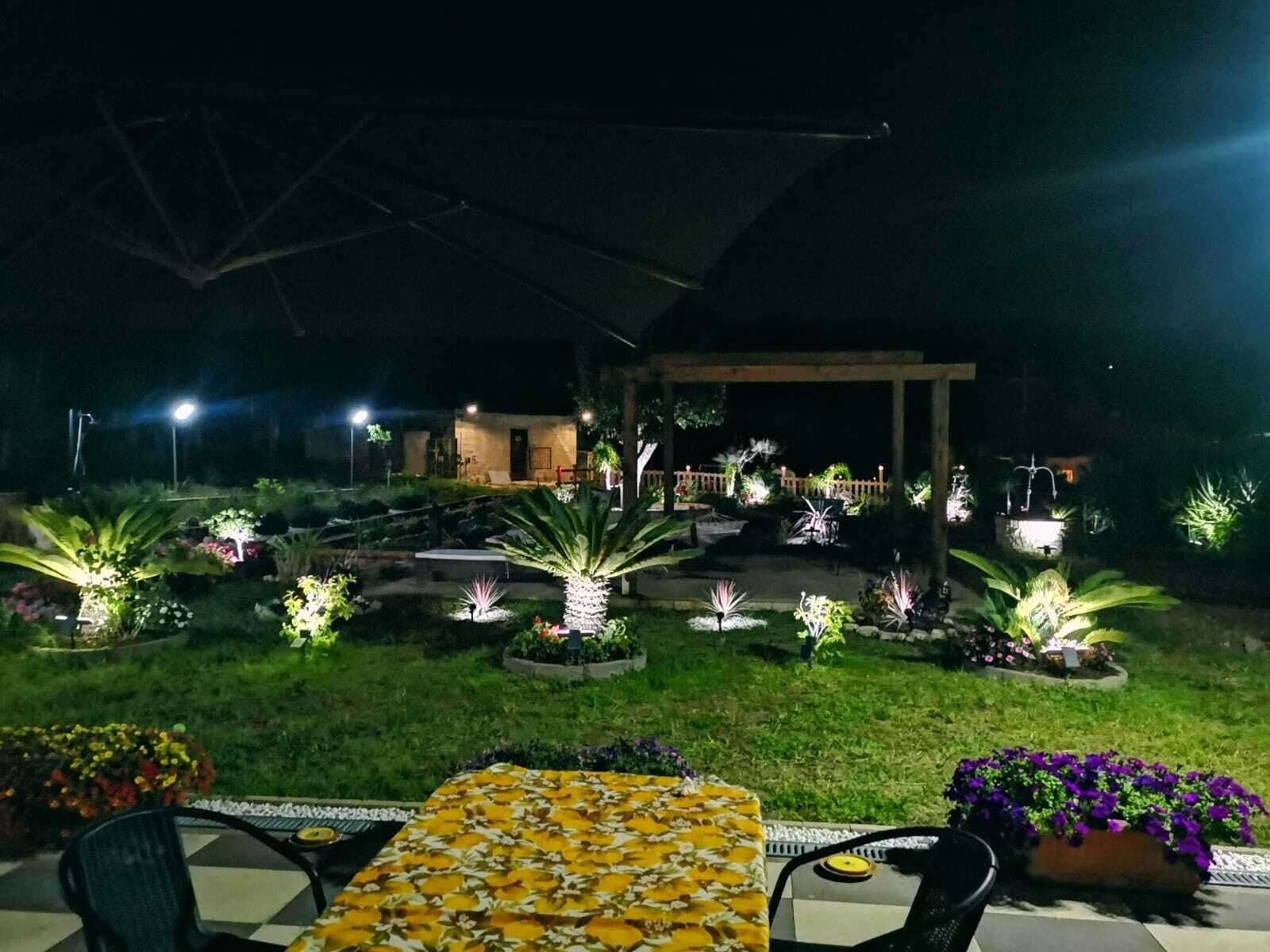 Un'area esterna ben illuminata con una zona salotto coperta, una piccola piscina e diverse piante e fiori.
