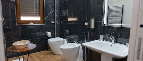 Regadera, secadora de cabello, bidet, toallas
