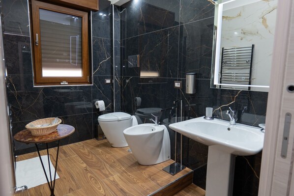 Shower, hair dryer, bidet, towels