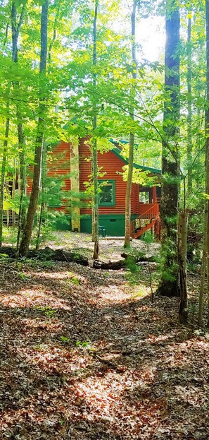 A cabin surrounded by trees in a forest. - Cozy Cabin w King, 8-Stall Barn/Borders Big South Fork Natl Park, Pet-Friendly (Oneida)