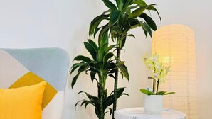 Um quarto com sofá, planta em vaso, pequena mesa com abajur e luminária na parede.