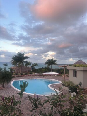 A pool with a curved edge, surrounded by palm trees and a view of the ocean. - 6 BR, 5 Bath Private Ocean & Jungle View Villa w/Pools (Las Terrenas)