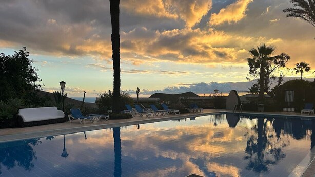 Ein Pool mit Liegestühlen und Palmen, umgeben von einer angelegten Grünfläche.
