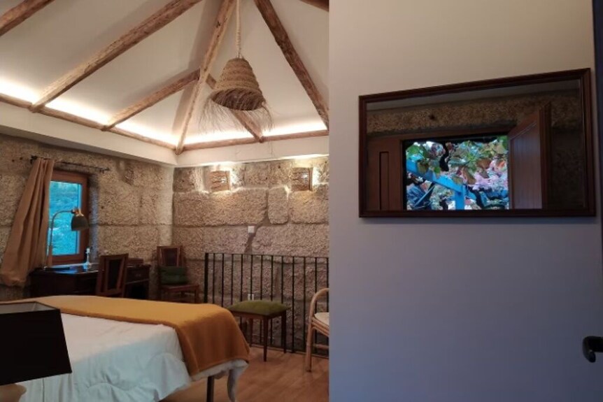 New Chalet, Serra Do Marão Ansiães-amarante - Portugal