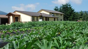 A building with a flat roof and a chimney, surrounded by a vegetable garden. - Agriturismo Fiorella (Celico)