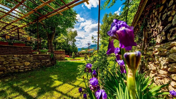 Un jardin avec des murs en pierre, une pergola et des fleurs violettes.