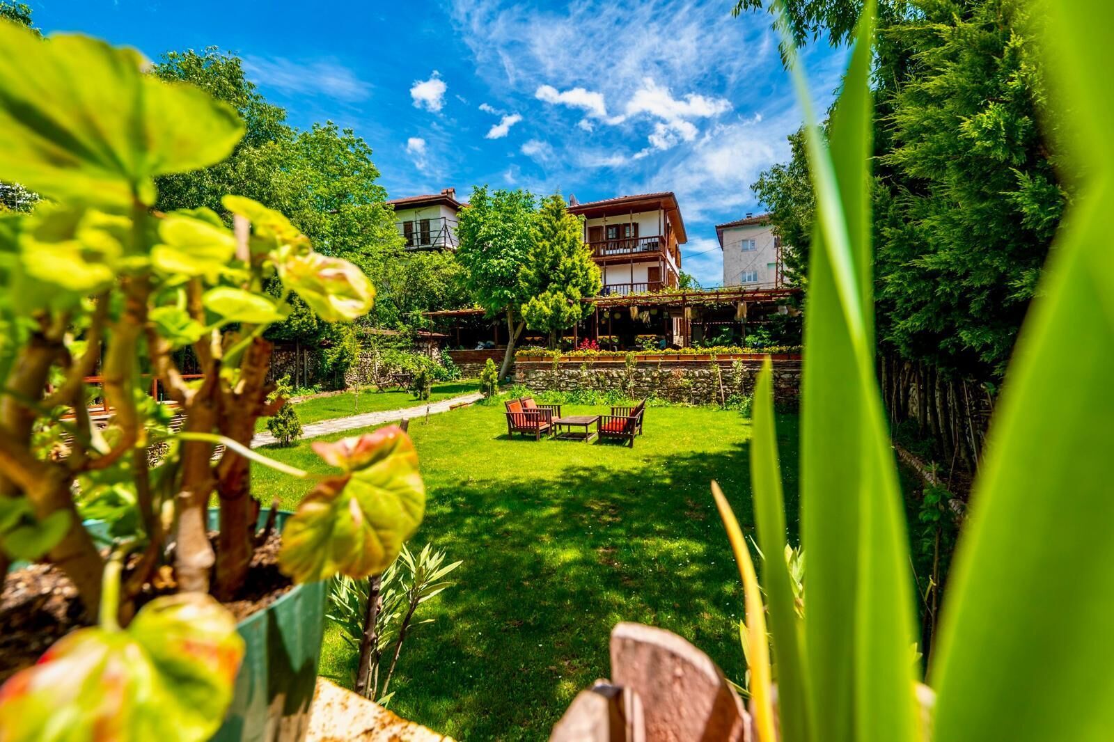 Garden