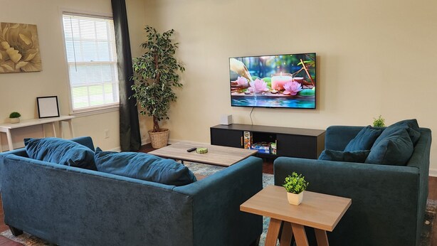 A living room with two blue sofas, a TV, a potted plant, and a framed picture on a shelf. - Near Sherman College 2BR w/ Wi-Fi + Washer/Dryer (Boiling Springs)