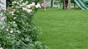 A garden with roses, a green lawn, and a wooden play structure with a slide.