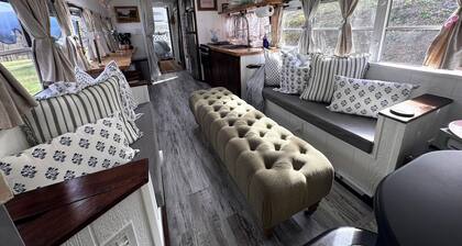 Adorable 1-bedroom studio bus in charming Wears Valley