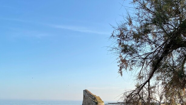 A coastal landscape with a prominent rock formation near the shore, surrounded by dry grass and sparse vegetation. - Room with shared pool in Salento countryside (Salve)