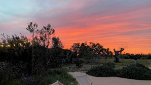 A desert landscape with cacti and a sunset. - Room with shared pool in Salento countryside (Salve)
