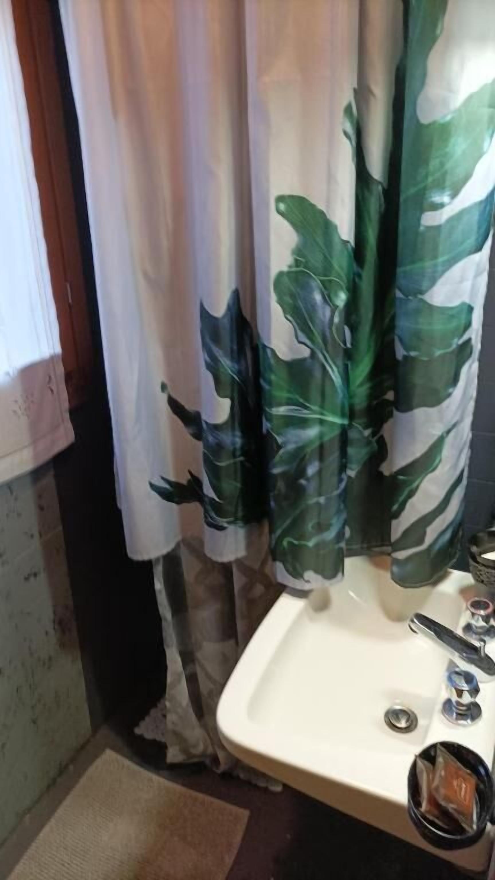 A bathroom with a sink, a mirror, and a shower curtain with a leaf pattern.