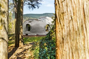 Un edificio de forma abovedada con ventanas arqueadas, rodeado de árboles y una zona ajardinada.