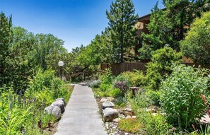Property grounds - Santa Fe Retreat w/ Pool, Gym & Trails (Santa Fe)