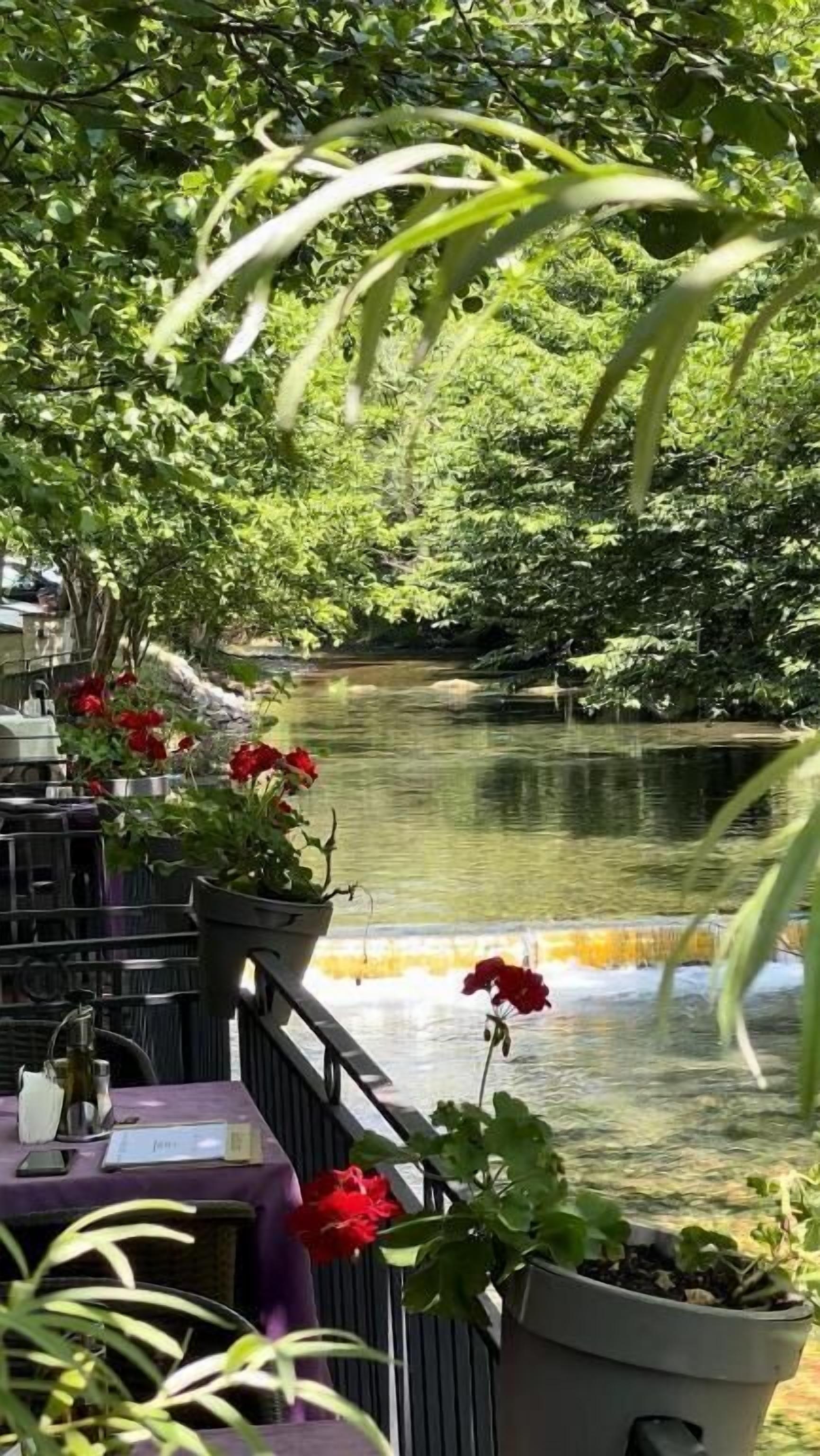 Un restaurante con terraza al aire libre, con vistas a un estanque, rodeado de vegetación.