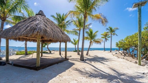 Een strand met een hut met rieten dak, palmbomen en een houten terras.
