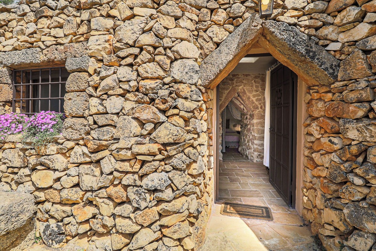 Imagen de perfil del propietario o de la propietaria