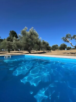 A clear blue swimming pool with a tree-lined background. - Casa do Lagar: Mountain View, Wi-Fi, and Air Conditioning (Celorico da Beira)