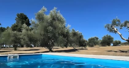 Casa do Lagar: Mountain View, Wi-Fi, and Air Conditioning