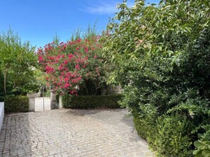 A cobblestone pathway leading to a building with a garden featuring green shrubs and pink flowers. - Casa do Lagar: Mountain View, Wi-Fi, and Air Conditioning (Celorico da Beira)