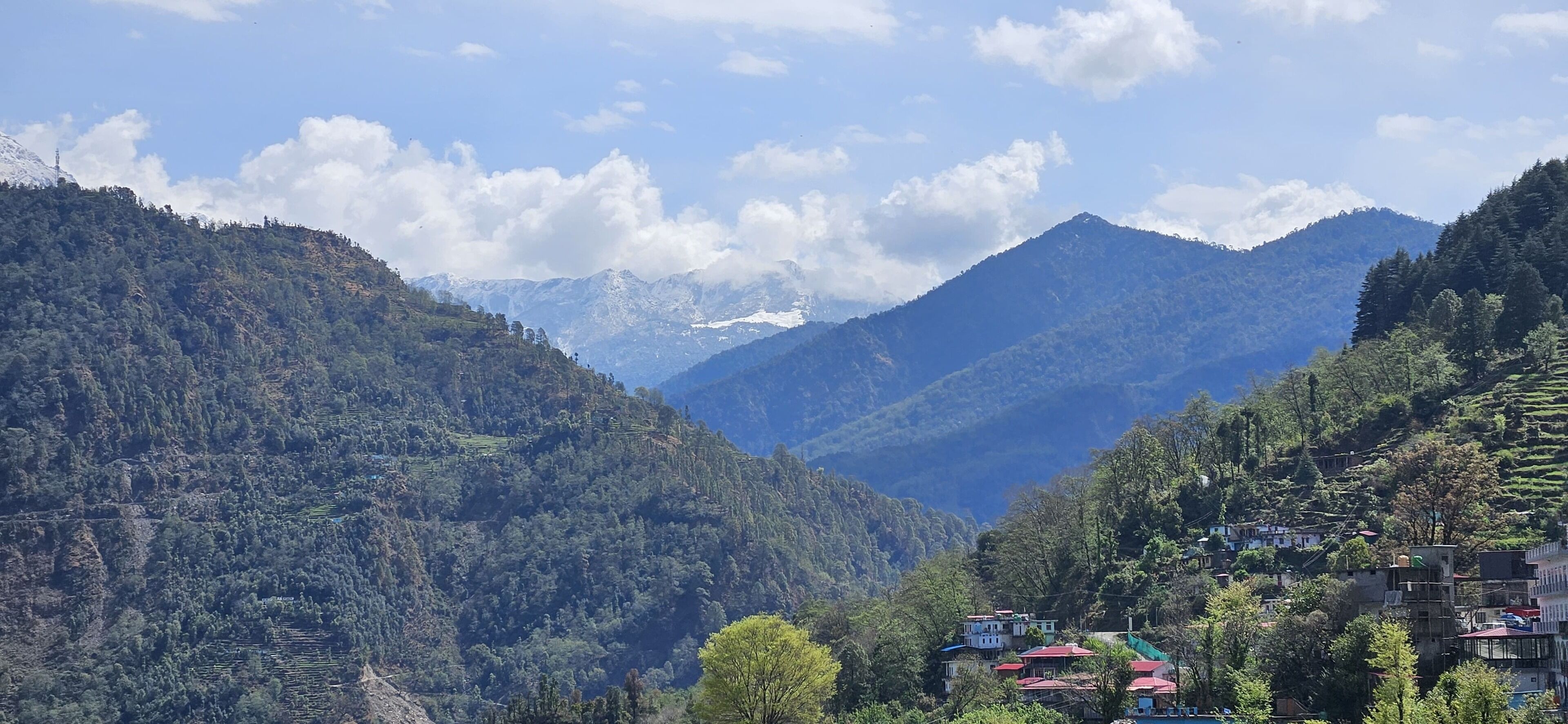 Deluxe Double or Twin Room, Patio, Mountain View | Miscellaneous