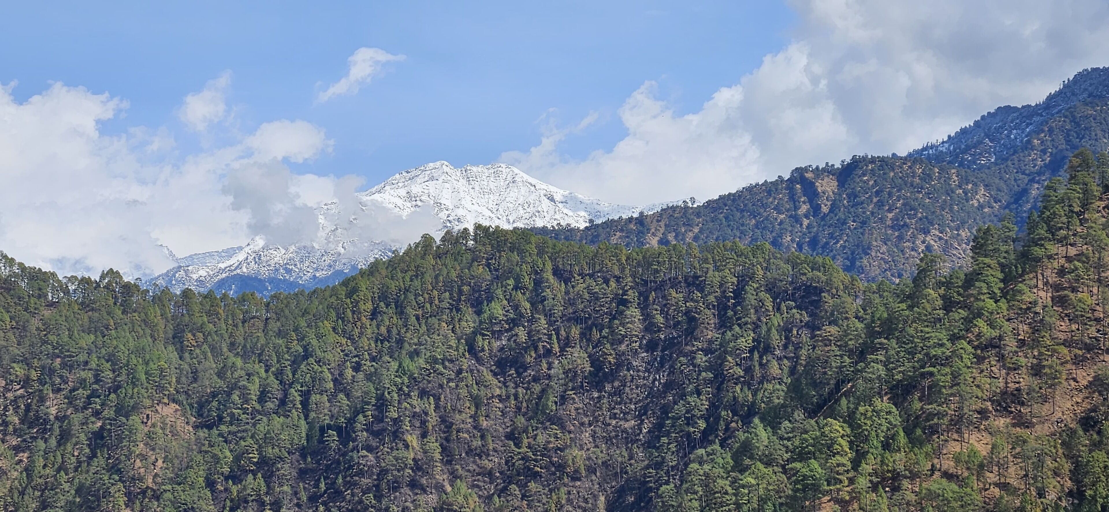 Deluxe Double or Twin Room, Patio, Mountain View | Miscellaneous