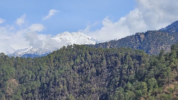 Deluxe Double or Twin Room, Patio, Mountain View | Miscellaneous