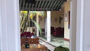 An open doorway leading to a room with a tiled floor, a bench, a green bag, and a palm tree.
