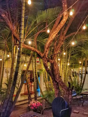 A covered outdoor area with bamboo plants and string lights. - Hostal Centro Cultural El Talpetate (Guatemala City)