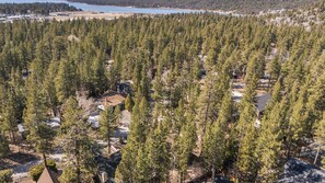 A forested area with multiple buildings, including houses and a cabin, surrounded by dense trees. - Pinehaven Retreat by Avantstay Hot Tub + Firepit + Games + Sun Room Minutes to Slopes & Lake (Big Bear Lake)
