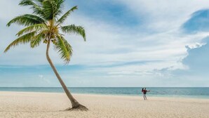 Ein Strand mit einer Palme und einer Person in der Ferne.