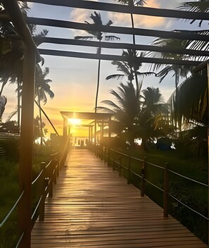 A wooden boardwalk leading to a structure with a roof, surrounded by palm trees.