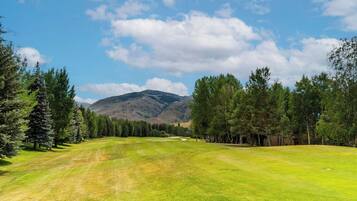 Golfe
