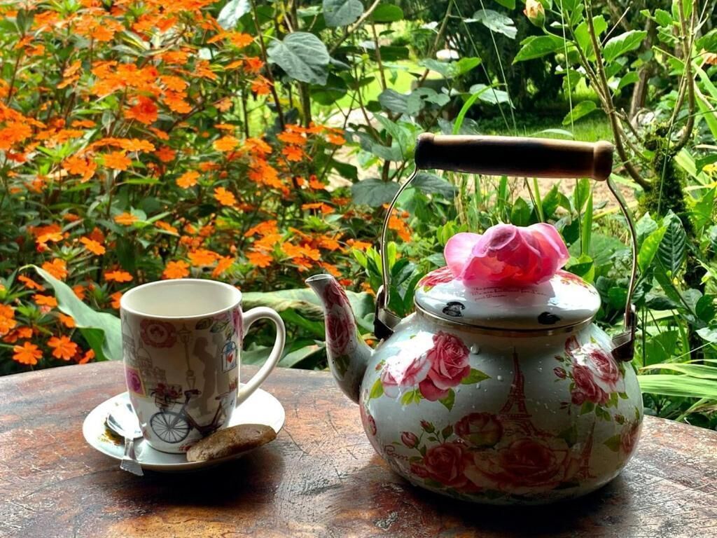 A floral teapot and a cup on a table with a garden view.