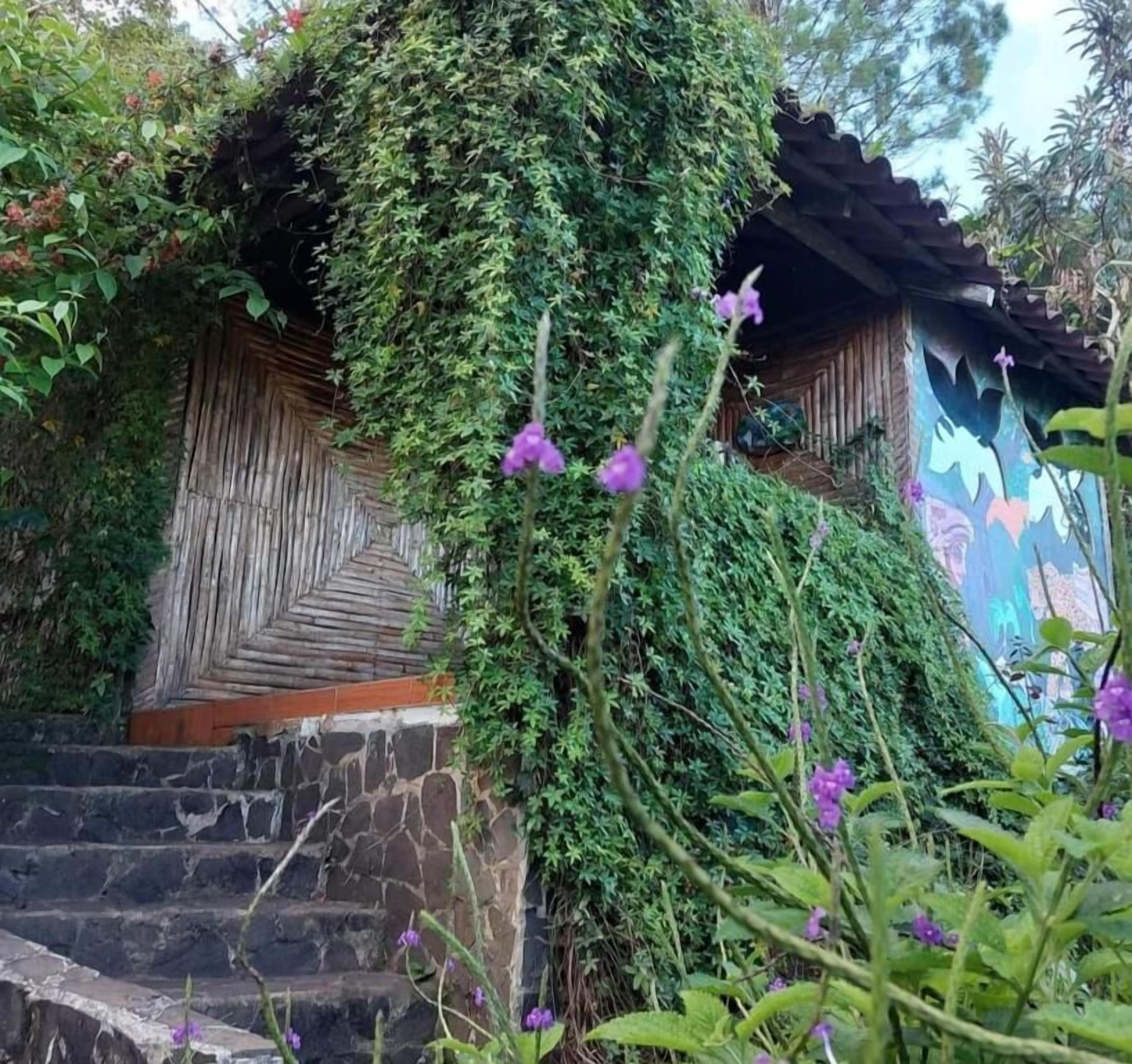 Un edificio rústico con una escalera de madera que lleva a una puerta, rodeado de vegetación densa y flores moradas.
