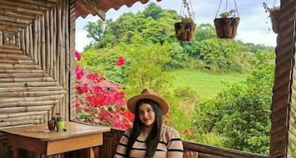 Finca Neblina del Bosque