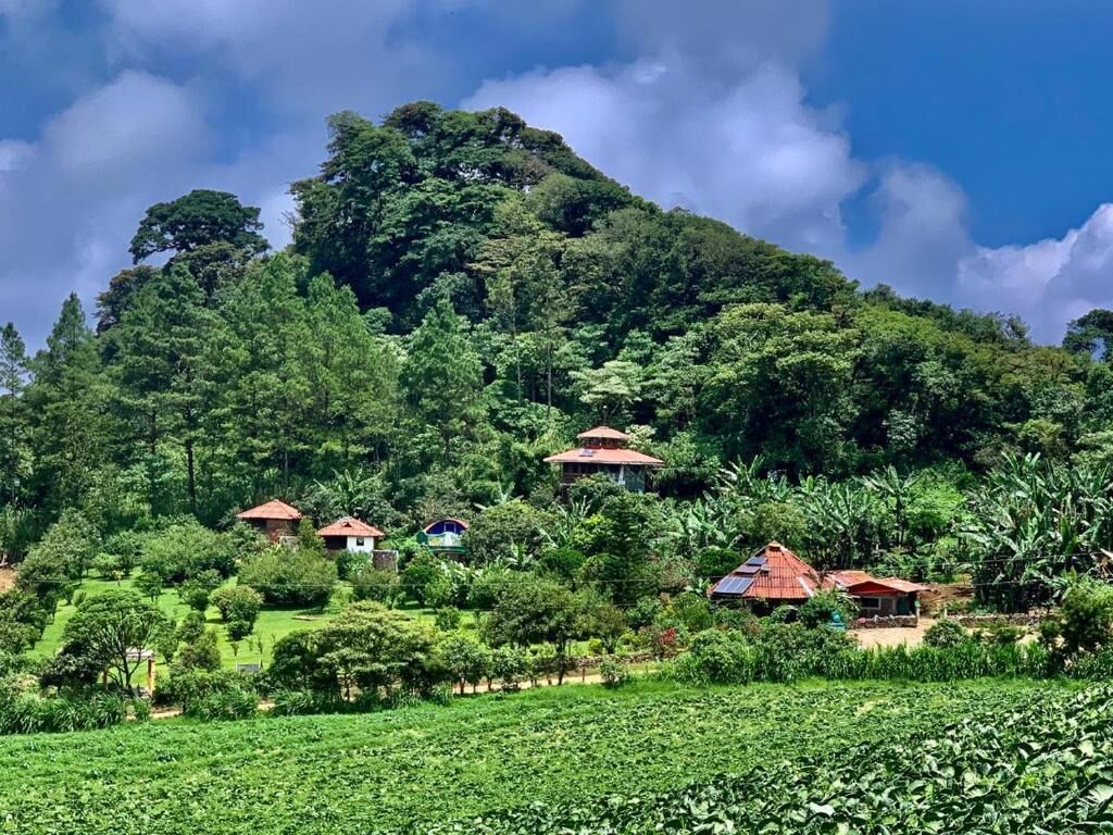 Un paysage verdoyant et luxuriant, avec une colline, plusieurs petites maisons aux toits rouges et un ciel bleu clair.